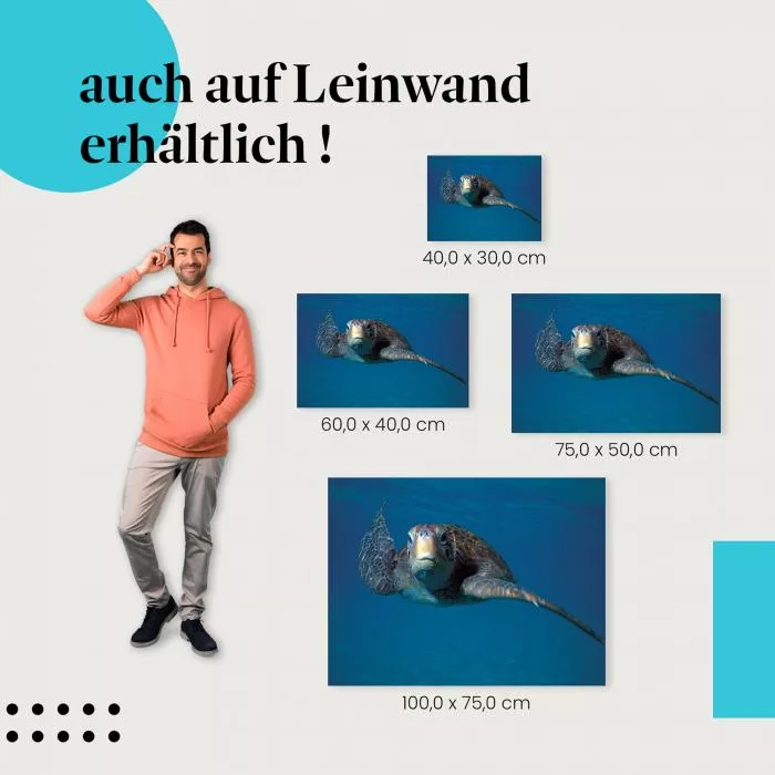 Meeresschildkröte: Unterwasserwelt & Ozean | Postereck 0657